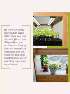 Bamboo LED Grow Light Garden For Succulents And Seeds 22 Bamboo LED Grow Light Garden For Succulents And Seeds -Backyard Bloomers 8598084 7