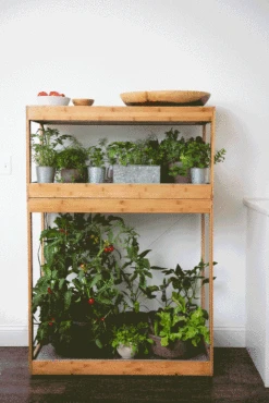 Bamboo Home LED Grow Light Garden -Backyard Bloomers 8598088 BambooLEDHomeGarden light gif