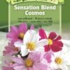 Sensation Blend Cosmos Organic Seeds 1 Sensation Blend Cosmos Organic Seeds -Backyard Bloomers 8598224 01V tif