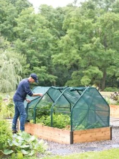 3-Season Plant Protection Tent, 4' X 8' -Backyard Bloomers 8598282 0101 tif