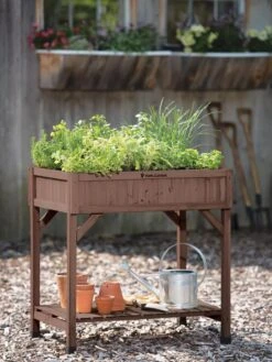 VegTrug® Herb Planter Box 12 VegTrug® Herb Planter Box -Backyard Bloomers 8598287 00037 tif