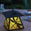 Dragonfly Solar Lantern 2 Dragonfly Solar Lantern -Backyard Bloomers 8598296 0706 tif