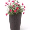 Weave Self-Watering Round Tall Planter, 12-1/2" -Backyard Bloomers 8598371 3000 tif