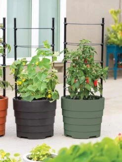Gardener’s Victory Self-Watering Planter With Support System -Backyard Bloomers 8598384 06013 tif