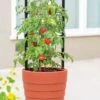 Gardener’s Victory Self-Watering Planter With Support System -Backyard Bloomers 8598384 6012 tif