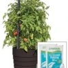 Gardener’s Victory Self-Watering Planter Garden Kit -Backyard Bloomers 8598389 5000 tif