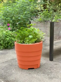 Gardener’s Victory Self-Watering Patio Planter -Backyard Bloomers 8598395 01479 tif
