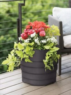 Gardener’s Victory Self-Watering Patio Planter -Backyard Bloomers 8598395 88593 tif
