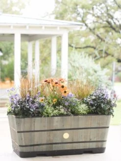 VegTrug™ Trough Planters -Backyard Bloomers 8598402 08880 tif