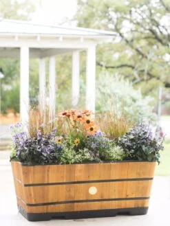 VegTrug™ Trough Planters -Backyard Bloomers 8598402 8880 tif
