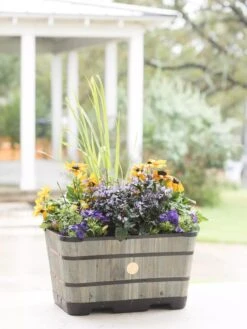 VegTrug™ Trough Planters -Backyard Bloomers 8598403 08876 tif
