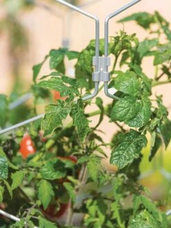 Gardener's Vertex Lifetime Tomato Cage -Backyard Bloomers 8598426 0011 tif