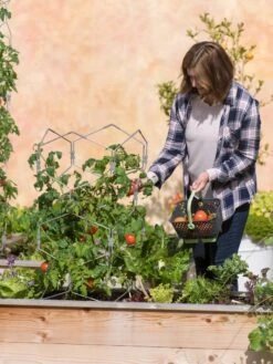 Gardener's Vertex Lifetime Tomato Cage -Backyard Bloomers 8598426 0026 tif