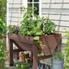 Compact VegTrug® Patio Garden -Backyard Bloomers 8598574 0400 tif