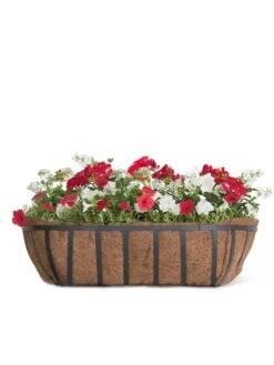 AquaSave™ Oxford Window And Deck Planters -Backyard Bloomers 8598628 1000 tif