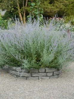 Rock Lock Interlocking Garden System, Curved Sets 13 Rock Lock Interlocking Garden System, Curved Sets -Backyard Bloomers 8598737 04V tif