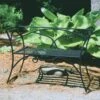 Achla Designs Wrought Iron Arbor Bench With Back 1 Achla Designs Wrought Iron Arbor Bench With Back -Backyard Bloomers 8598749 01V tif