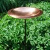 Achla Designs Hammered Copper Bowl Bird Bath 1 Achla Designs Hammered Copper Bowl Bird Bath -Backyard Bloomers 8598772 01V tif