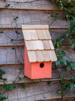 Heartwood Fruit Coops Bird House -Backyard Bloomers 8598856 04v