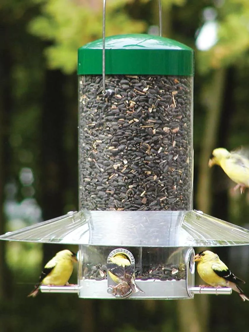 Birds Choice™ Classic Tube Feeder With Weather Guard Baffle, 12" 3 Birds Choice™ Classic Tube Feeder With Weather Guard Baffle, 12"