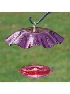 Birds Choice™ Hummingbird Nectar Feeder With Weather Guard Kit -Backyard Bloomers 8598910 01v