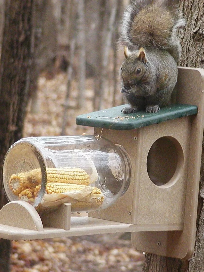 Birds Choice™ Squirrel Jar Feeder 3 Birds Choice™ Squirrel Jar Feeder