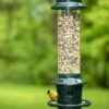Brome ® Squirrel Buster Plus™ Bird Feeder -Backyard Bloomers 8598916 1311 tif