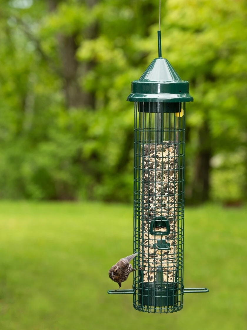 Brome® Squirrel Buster™ Classic Bird Feeder 3 Brome® Squirrel Buster™ Classic Bird Feeder