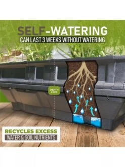 Vegepod Raised Garden Beds -Backyard Bloomers 8598930 02V