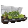 Vegepod Raised Garden Beds -Backyard Bloomers 8598931 02V