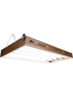T5 Designer 4-Tube Fixture With Bulbs, 2'
