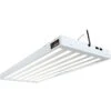 AgroBrite T5 324W 6-Tube Fixture With Bulbs, 4'