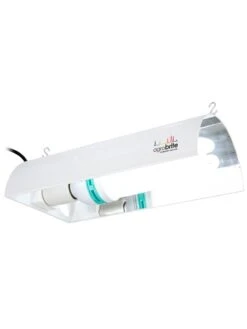 Fluorowing Agrobrite Compact Fluorescent System