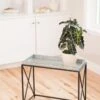 Plant Stand With Galvanized Tray -Backyard Bloomers 8599022 14588 tif