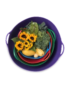 Colorful Tubtrug, 3-1/2 Gallon -Backyard Bloomers 8599088 20GalTubTrug gif