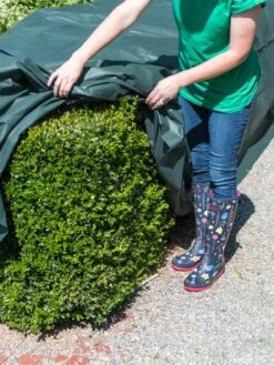 The Planket® Frost Protection Plant Cover, 10' X 20' -Backyard Bloomers 8599101 0929 tif