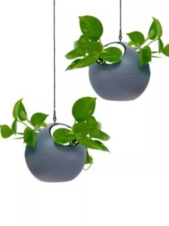 Exaco Euro Hanging Planters, Set Of 2 9 Exaco Euro Hanging Planters, Set Of 2 -Backyard Bloomers 8599179 04V tif