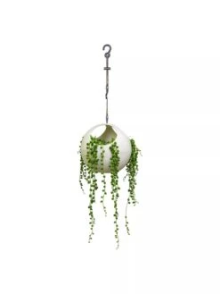 Exaco Euro Hanging Planters, Set Of 2 8 Exaco Euro Hanging Planters, Set Of 2 -Backyard Bloomers 8599179 06V tif