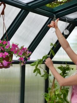 Canopia® By Palram Hobby Gardener Greenhouse, 8' -Backyard Bloomers 8599331 04V tif