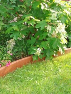 Curved Landscape Edging Kit With 2" Boards -Backyard Bloomers 8599407 03V tif