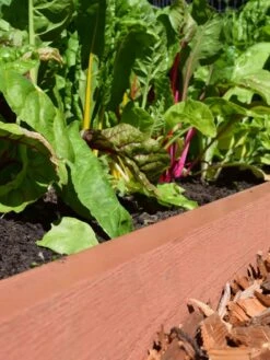 Straight Landscape Edging Kit With 2" Boards -Backyard Bloomers 8599408 02V tif