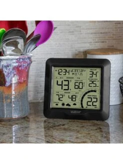 La Crosse Wireless Weather Station With Wind Sensor -Backyard Bloomers 8599461 02v