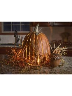 Desert Steel Pumpkin Luminary, Tall -Backyard Bloomers 8599559 03v