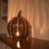 Desert Steel Pumpkin Luminary, Short 2 Desert Steel Pumpkin Luminary, Short -Backyard Bloomers 8599560 01v