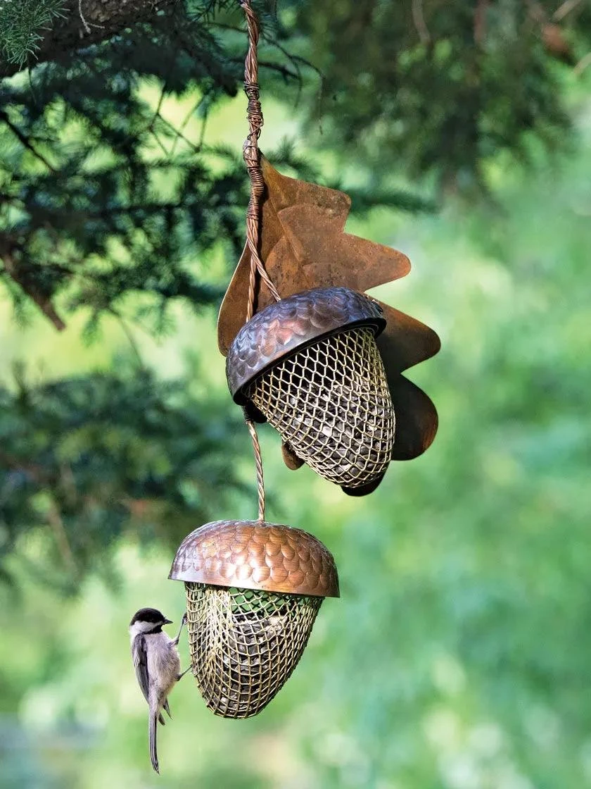 Acorn Bird Feeder 3 Acorn Bird Feeder