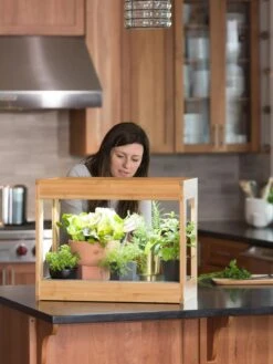 Bamboo Mini LED Grow Light Garden -Backyard Bloomers 8599624 12532 tif