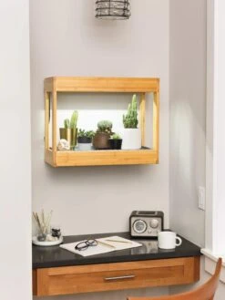 Bamboo Mini LED Grow Light Garden -Backyard Bloomers 8599624 12872 tif