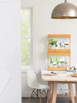 Bamboo Mini LED Grow Light Garden -Backyard Bloomers 8599624 13244 tif