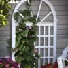 Vienna Vinyl Trellis 1 Vienna Vinyl Trellis -Backyard Bloomers 8599767 01V tif