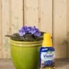 Espoma Violet! Plant Food -Backyard Bloomers 8599781 18437 espoma violet plant food liquid fertilizer